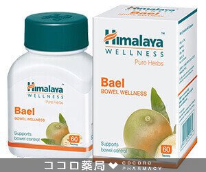 消化器・心肺機能の強化